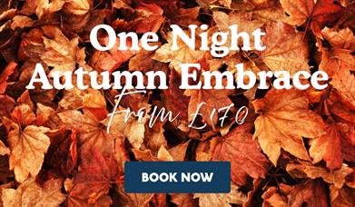 One Night Autumn