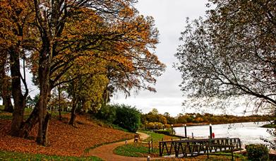 Autumn Leaves