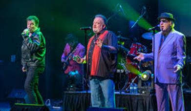 grease_50s_experience_westville_hotel