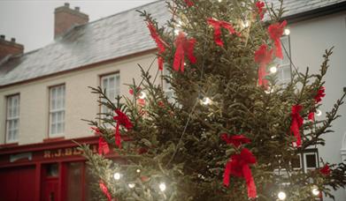 Christmas at the Ulster American Folk Park
