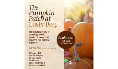 The Pumpkin Patch at Lusty Beg