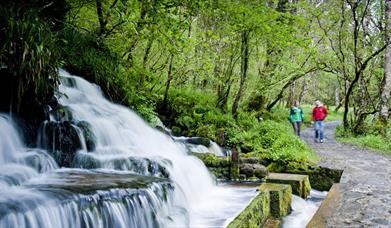 Cladagh Glen -  Marlbank National Nature Reserve