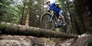 Mountain biker on a log