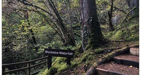 Blackslee Waterfall Walk