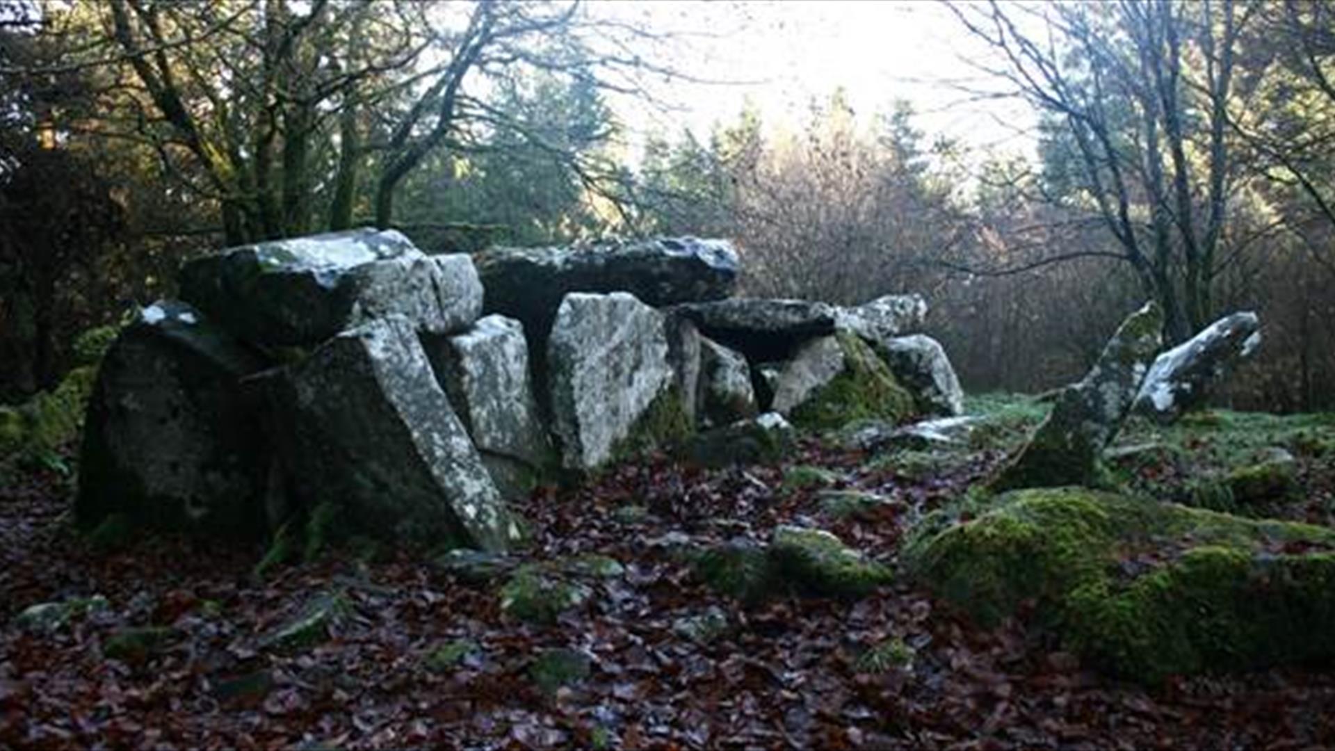 Cavan Burren Park Tomb