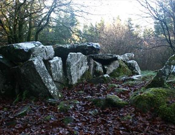 Cavan Burren Park Tomb