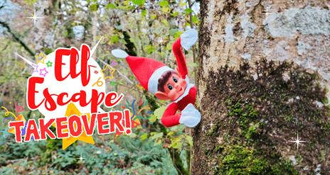 A fun Christmas Elf experience at the Marble Arch Caves for families
