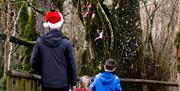 Christmas Elf Escape at Marble Arch Caves