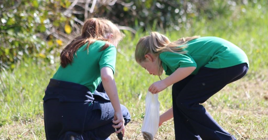 Citizen Science FIT Counts –National Insect Week - Enniskillen ...
