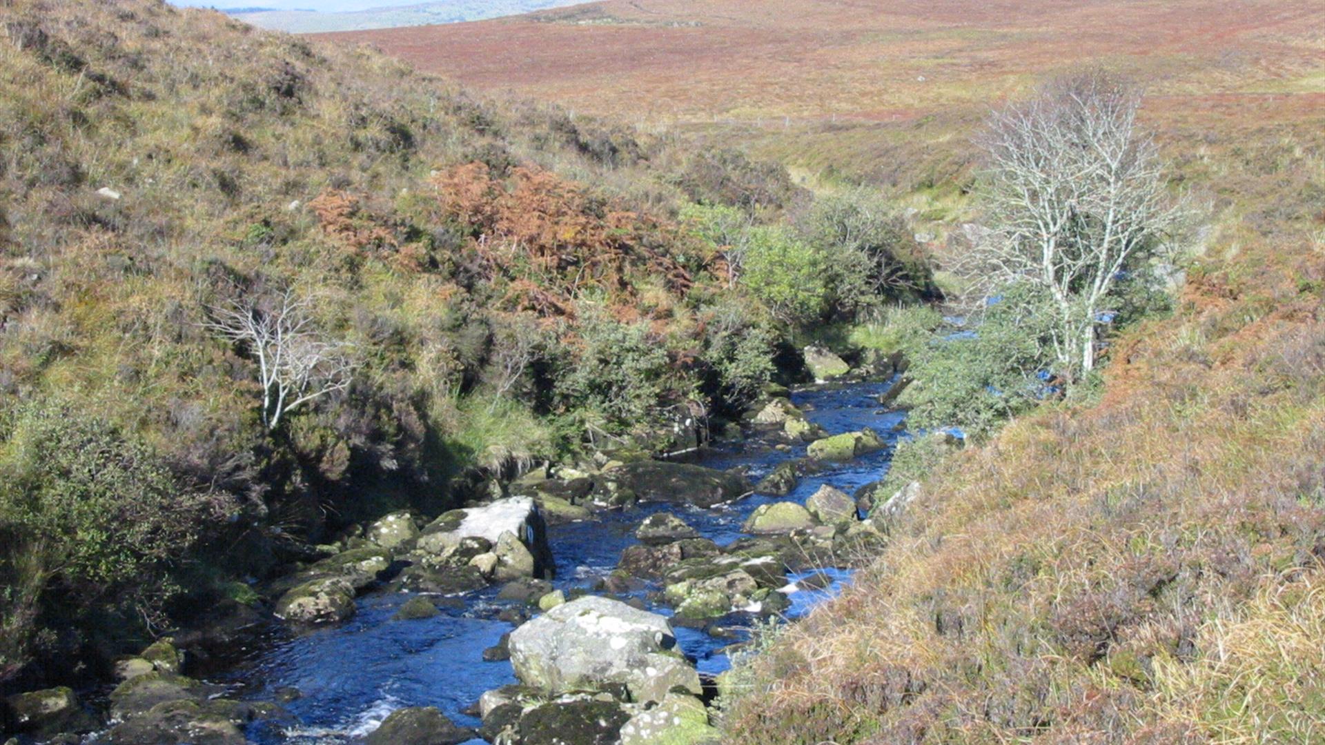 Owenbreen River.