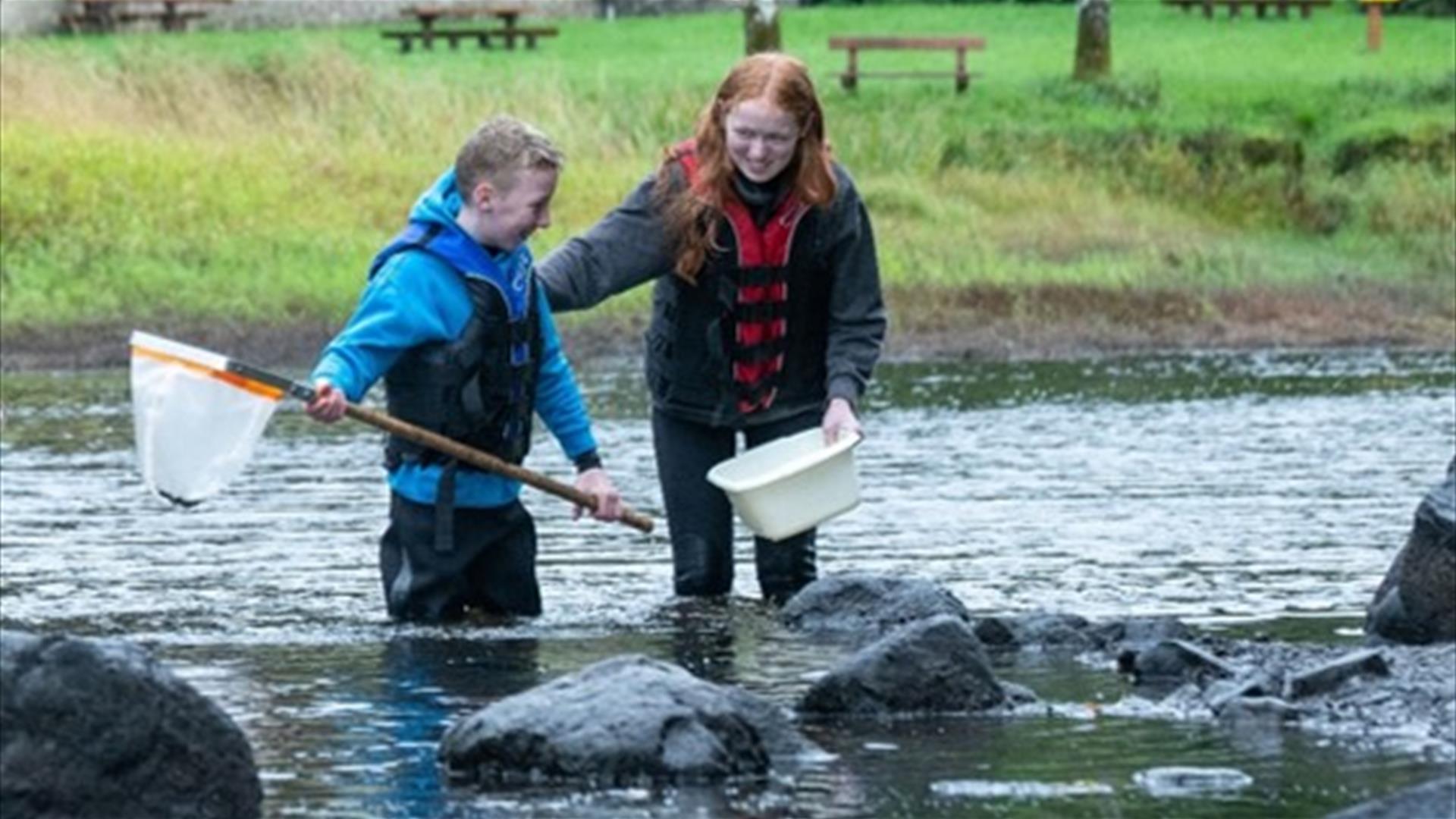 Pond Dipping