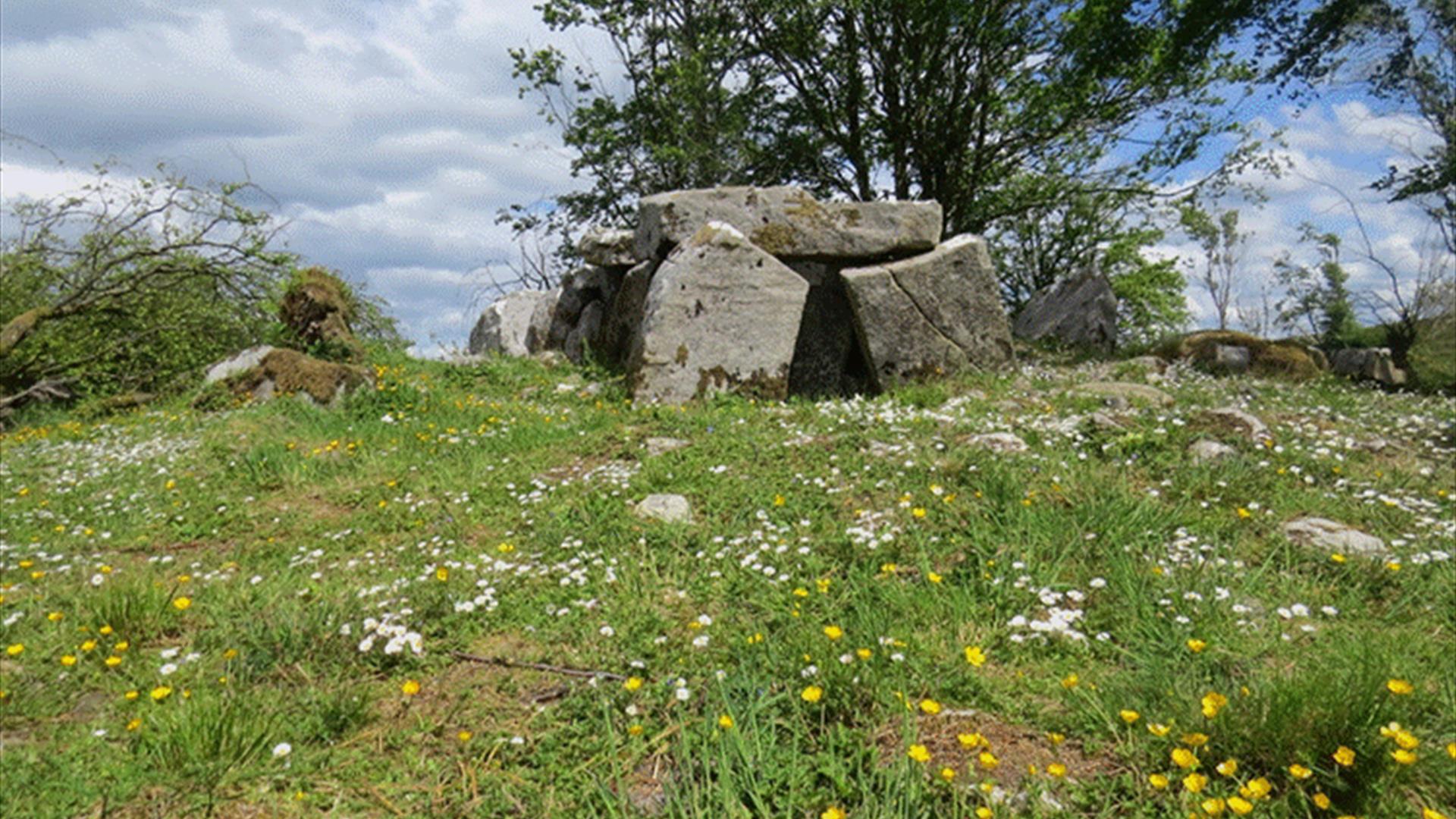 Cavan Burren Park