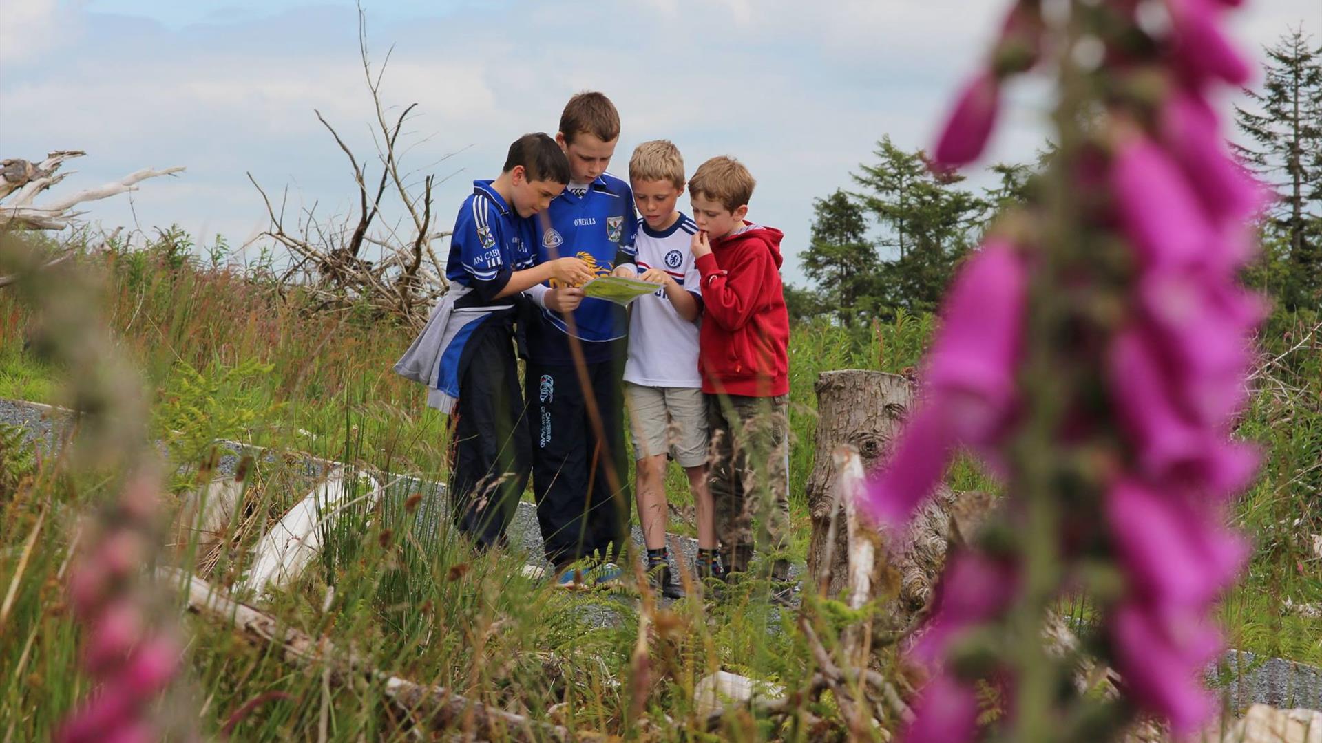 Summer Camp at the Cavan Burren